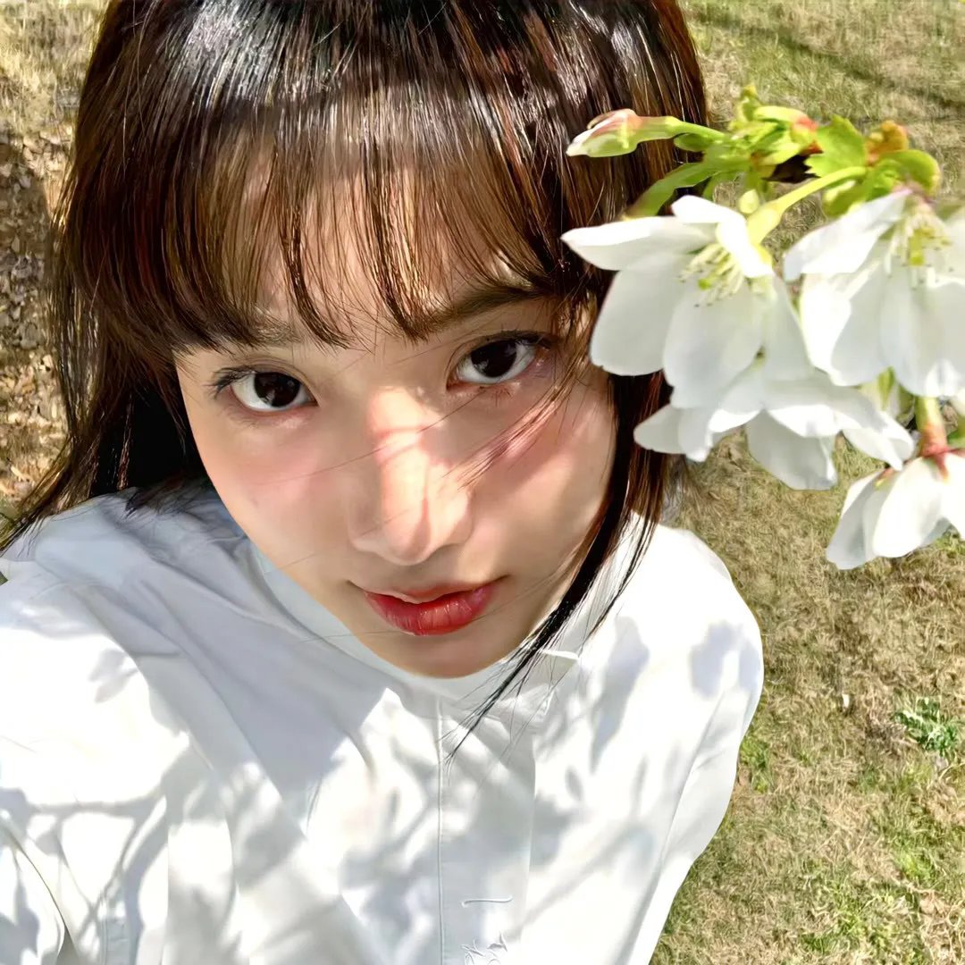 孤狼之血
